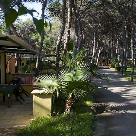 加利波利 Camping La Vecchia Torre酒店 外观 照片
